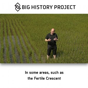 Agriculture transformed human history. Learn about the powerful forces that were unlocked when we left foraging behind. https://oer-prj.com/3y9QdOL | OER Project
