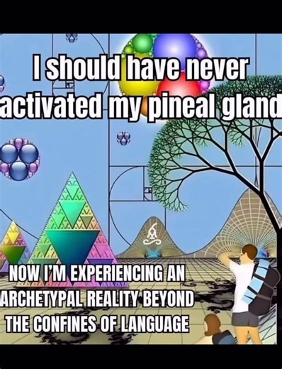 Strasbourg_Schizo_Asylum on Instagram: "#psychosis"