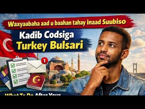 What to Do After Turkey Burslari Application 2026 | Somali Guide