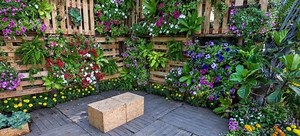 How to Use a Root Feeder | DoItYourself.com