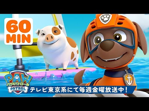 パウ・パトロール | ズーマ、ケントと海のレスキューで大活躍！🐬 60分総集編 | テレビ東京系にて放送中