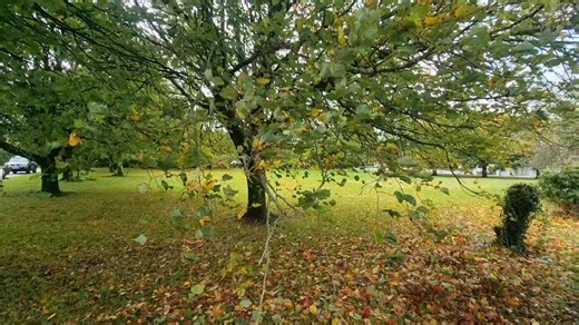 Stormy day in Ballaghaderreen #StormAmy | Ballaghaderreen Past and Present