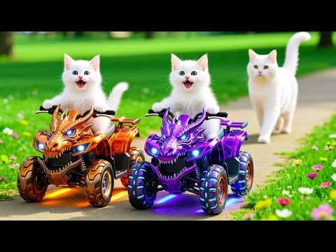 Mama Cat Trims Fur on the Farm and Makes Tiger Hat For Kittens At Home🐾🎩🐯