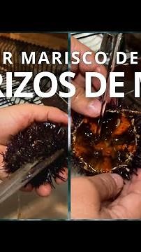 How to open, prepare and eat sea urchins