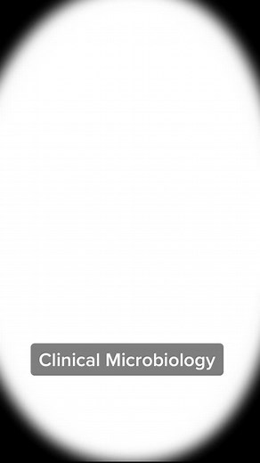 Exploring the World of Clinical Laboratory Work