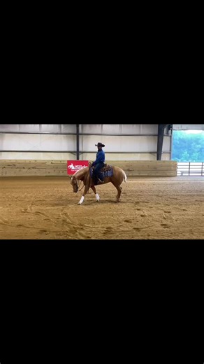 NRHA Trainer Tip Tuesday Throwback Video Segment