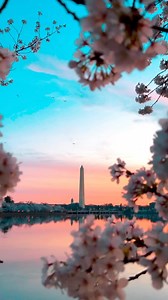 47K views · 912 reactions | There is nothing like Spring in DC!   Start planning your spring getaway now!: IG/ jalex_r #Only1DC | Visit Washington DC | Facebook