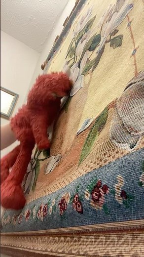 elmo world pumpkins quiz