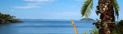 Adam sucht Eva | Dating-Show online streamen | RTL+