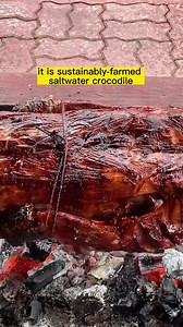 Have you tried #CrocodileLechon by Davao Crocodile Park & Zoo? Read more: https://www.sunstar.com.ph/article/1953670/davao/feature/crocodile-lechon-anyone #DavaoCrocodileParkandZoo #foodporn #exoticfood #SunStarPlusSpecial #DavaoCity | SunStar Davao