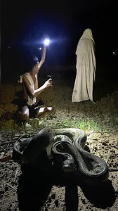 Snake Tv - Find Food At Night Found Ghost And Big Python Snake So Amazing | Snake TV