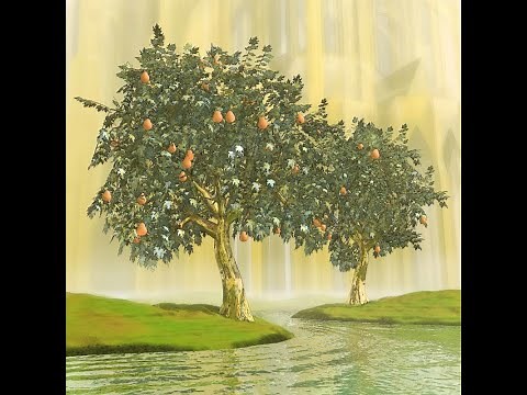 Bible Study: Revelation 22 (River of Life & Tree of Life)