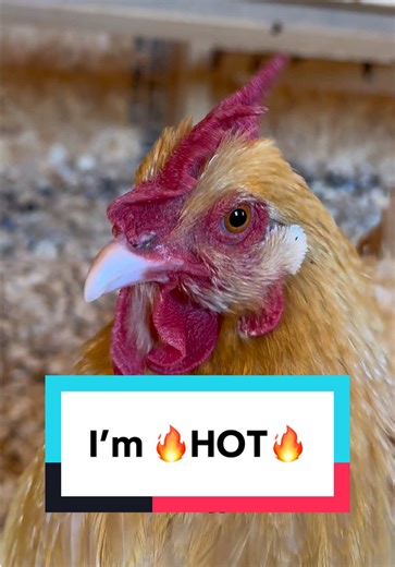 You can’t argue with science 🔥 | Science