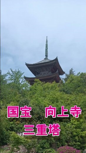 しまなみ海道 瀬戸田 #旅行 #観光