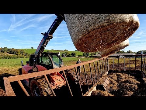A Week On A UK Dairy Farm! | Name The Calf!