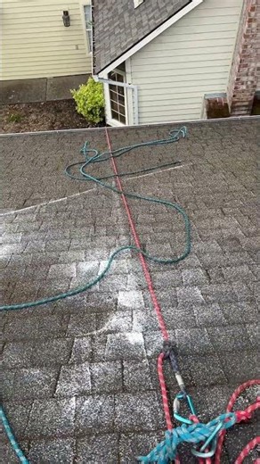 Roof Moss Cleaning and Treatment | Seattle | Portland | Vancouver, WA