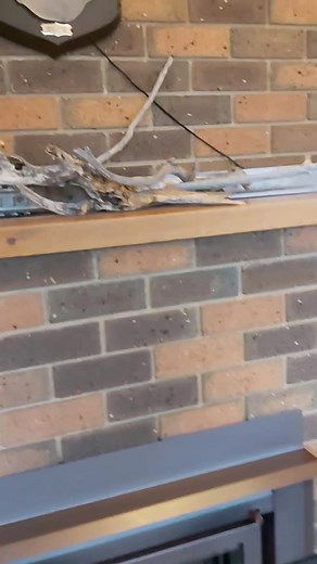 Ahhhhhh.......... a lovely welcome back to the mountains ⛰ ❤🙏 | Anna Hamilton