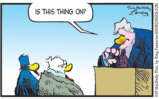 Shoe Comic Strip 2025-07-24 | Comics Kingdom