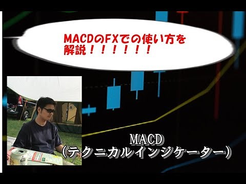 MACD（マックディー）FXでの設定使い方とダイバージェンス見方（MT4）解説動画