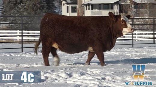 Lot 4c - W Sunrise SimPower 2025.mp4