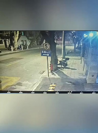 When Your Cat Forgot How to Cat😼#cat #funny #catlover #catsoftiktok #foryou #crazy | The Funny Cats2