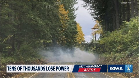 Heavy winds, rain cause downed trees and power lines throughout Oregon, Washington