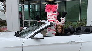 Meet Pink Zebra Director, Beth Hanner! Beth and her husband, Tyler, joined us at our Home Office last Friday for her well-deserved Director Visit! After flying in from Charleston, IL, they were whisked to our Sugar Land, TX office via stretch limo to be welcomed on the infamous Pink Carpet by Pink Zebra Co-Founders Tom and Kelly Gaines. Beth joined our mascot, Paisley, for a photo op in a cute and sporty, convertible Ford Mustang ~ her car for the weekend! Inside, Beth was greeted by a cheering 