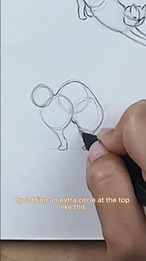 How to draw cats step by step! | cat basics #drawing #drawingtutorial #catart