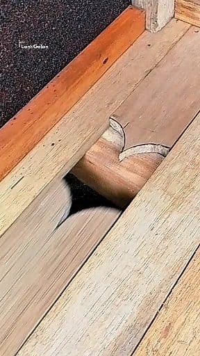 8K views · 52 reactions | your wood joint ideas are more unique and interesting #woodworking #tips_tricks #carpentry #working | Lank Galon | Facebook