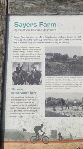 Lost But Found Hadley Park | Yorkie Lucy Discovers History & Adventure 🐾