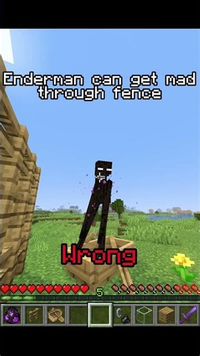 Minecraft Myths 🤐