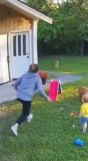 Bobcat Ambushes Backyard — Dog Defends Child in Real Life Battle