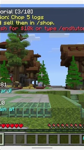 What Is Mega SMP (A Rundown)