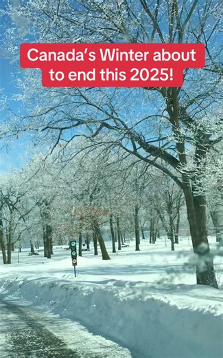 Experience Canada’s Winter 2025: A Unique Perspective