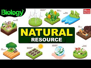 Brief Introduction to Human resources Video Lecture | Social Studies for Class 4