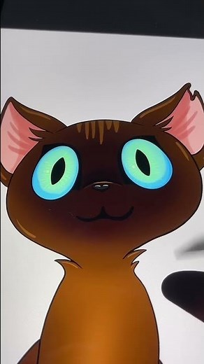 I PLACED A DIGITAL DRAWING ORDER