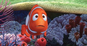 „Findet Nemo“-Namen: Das sind die Fische aus dem Film