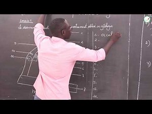 Exercises - Première S - SVT: Study techniques and cell organization / M. Beye