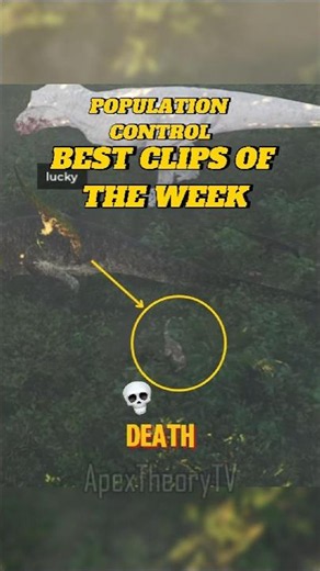 BEST CLIPS OF THE WEEK ON THE ISLE #dinosaur #theisle #gaming #usa #theislegame #viral #funny #dino