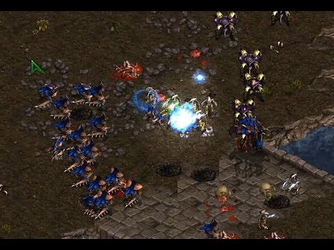 Jaedong (Z) v Pure (P) BEST OF 5 - StarCraft - Brood War REMASTERED