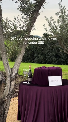 DIY Wedding Wishing Well Ideas Under $50