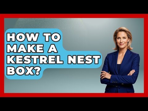 How To Make A Kestrel Nest Box? - Bird Watching Diaries