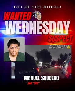 55K views · 257 reactions | #SantaAnaPD #WantedWednesday Detectives are attempting to locate Manuel “Evil” Saucedo, a documented gang member, who is absconding from Parole and has multiple felony warrants. If seen, please contact the SAPD at (714) 245-8665. | Santa Ana Police Department | Facebook