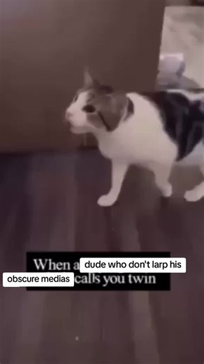 what does the mediatok think about my statement? #targetaudience #mediatok #larplarplarpsahur