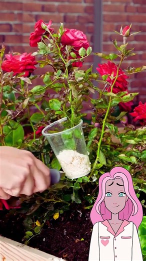 3+ Simple Garden Hacks That Actually Work 🌿✨#shorts #gardenhacks #gardentips