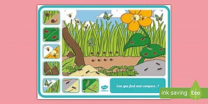 Talk About Comparing Groups of Identical Objects to 5 Maths Activity