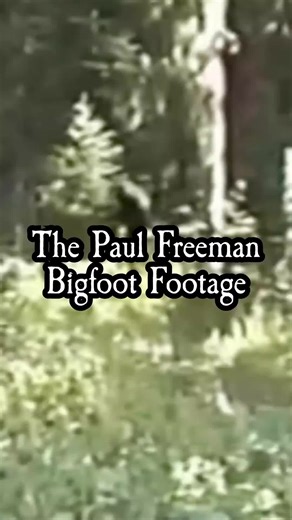 In 1992, Paul Freeman captured what many believe to be one of the most authentic Bigfoot sightings ever recorded in the Blue Mountains of Oregon. Decades later, the Freeman footage still fuels debate among cryptid researchers, skeptics, and believers alike. Was this the closest look we've ever had at Sasquatch—or just another convincing hoax? Watch the evidence, hear the theories, and decide for yourself. #BigfootEncounter #Sasquatch #bigfoot #cryptid #unexplained