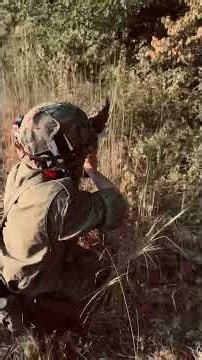 The Vietnam War 1967 "Ambush in the Iron Triangle"