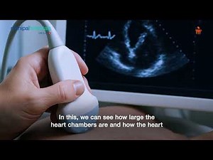 ECG, Echo & TMT Explained: Understanding Key Heart Tests