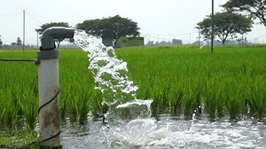 clip-3584515291-irrigation-rice-fields-using-pump-wells-technique